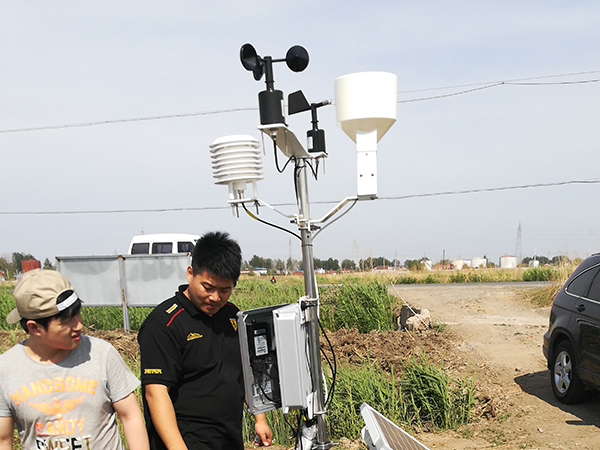 优质公路草莓视频在线观看免费下载型号 甘肃